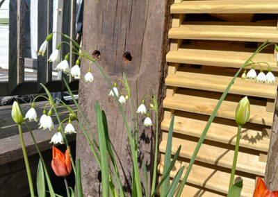 Garden Decking & Garden Structures Timber Louvre